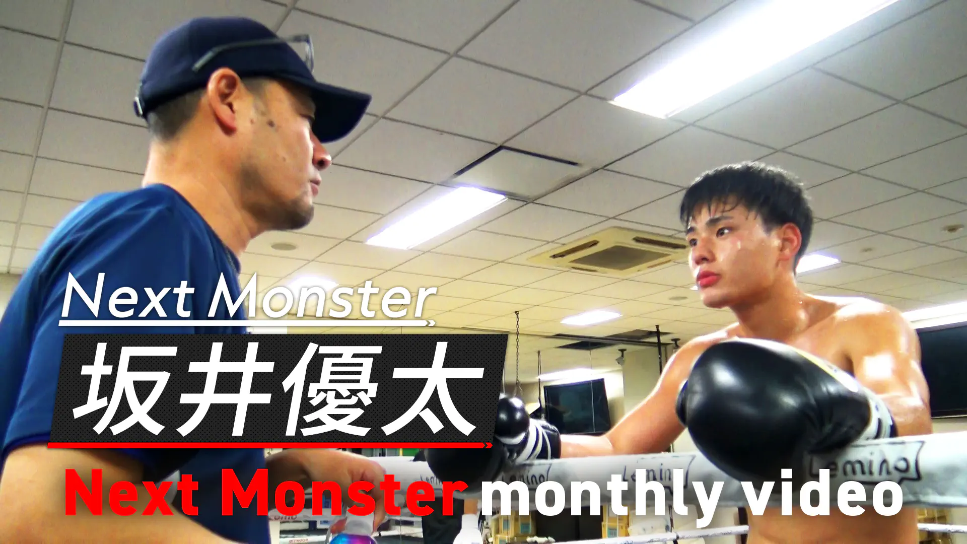 ネクストモンスタープロジェクト