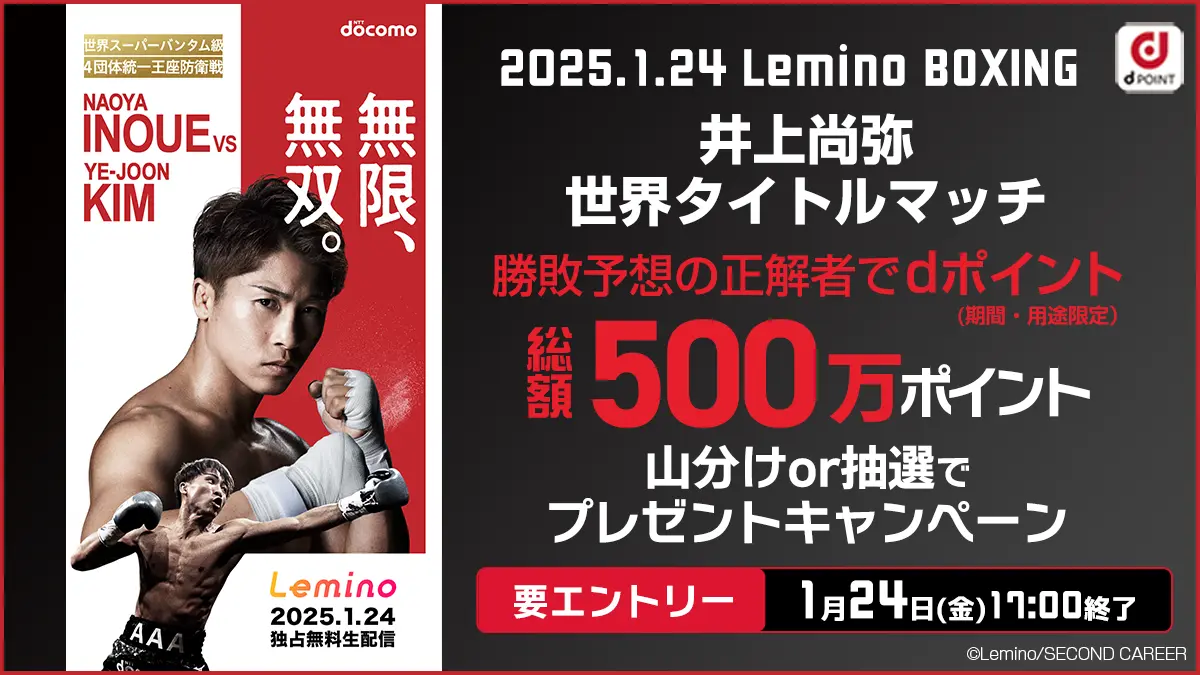 井上尚弥 世界タイトルマッチ ボクシングパンフ 10部+2部 計12種類 - ボクシング - ボクシング
