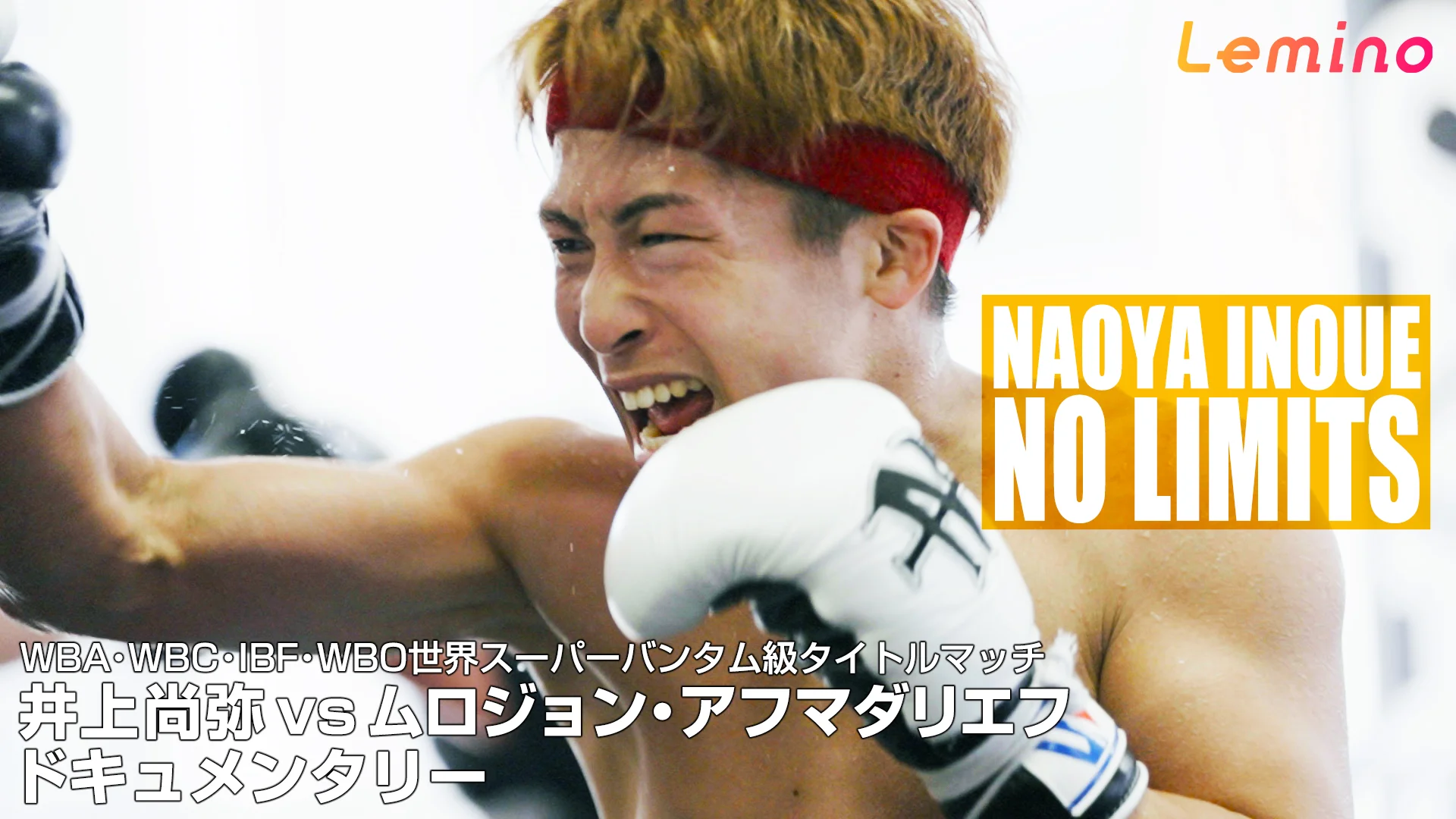 NTTドコモ presents Lemino BOXING ダブル世界タイトルマッチ 井上尚弥