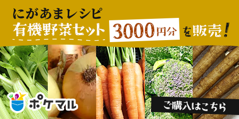 にがあまレシピ有機野菜セット3000円分を販売!