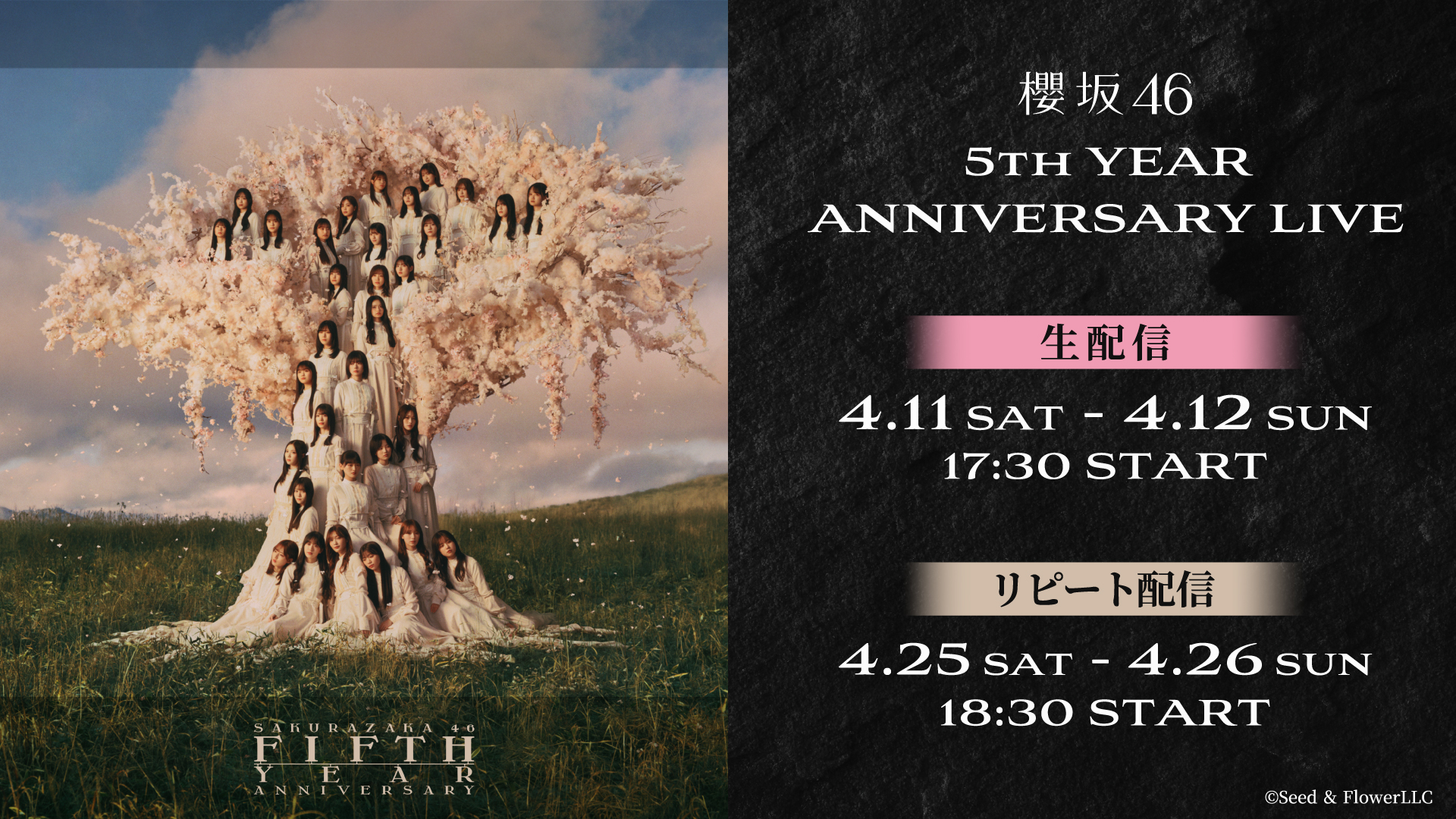 櫻坂46「5th YEAR ANNIVERSARY LIVE」