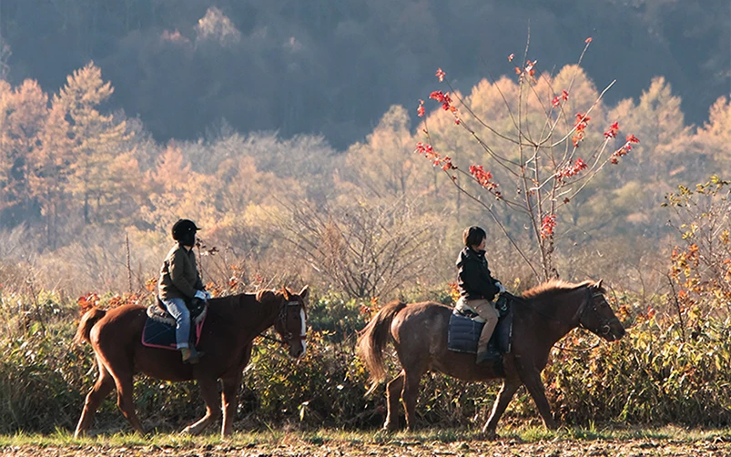 マイステーブル（鹿追町）