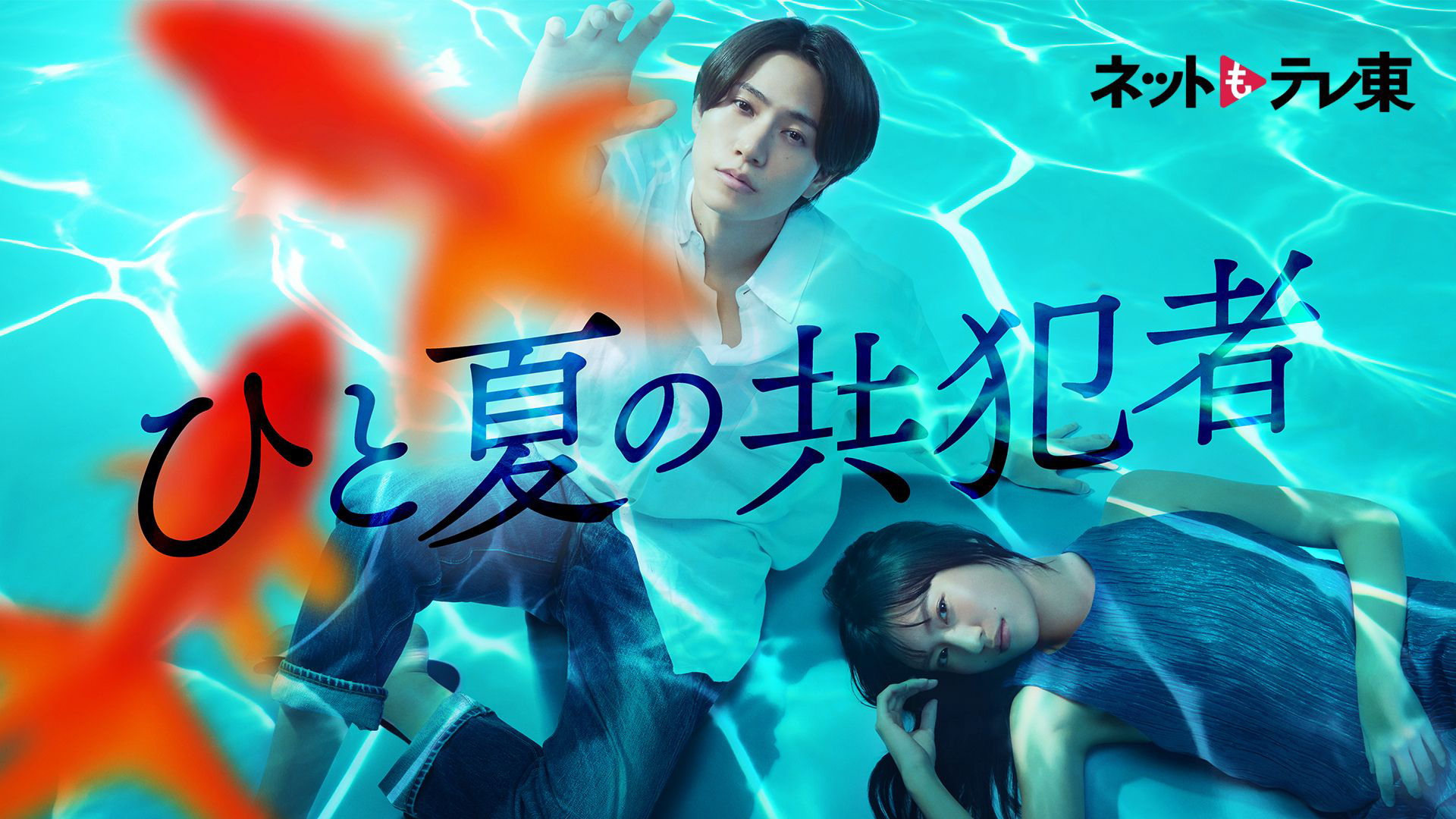 ひと夏の共犯者