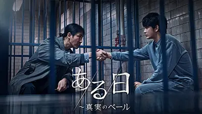 ある日〜真実のベール 全8話