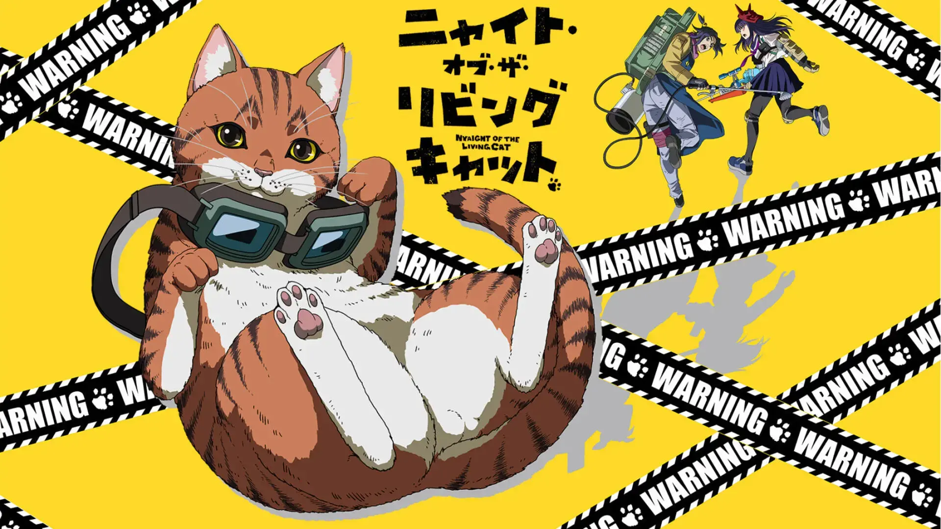 ニャイト・オブ・ザ・リビングキャット