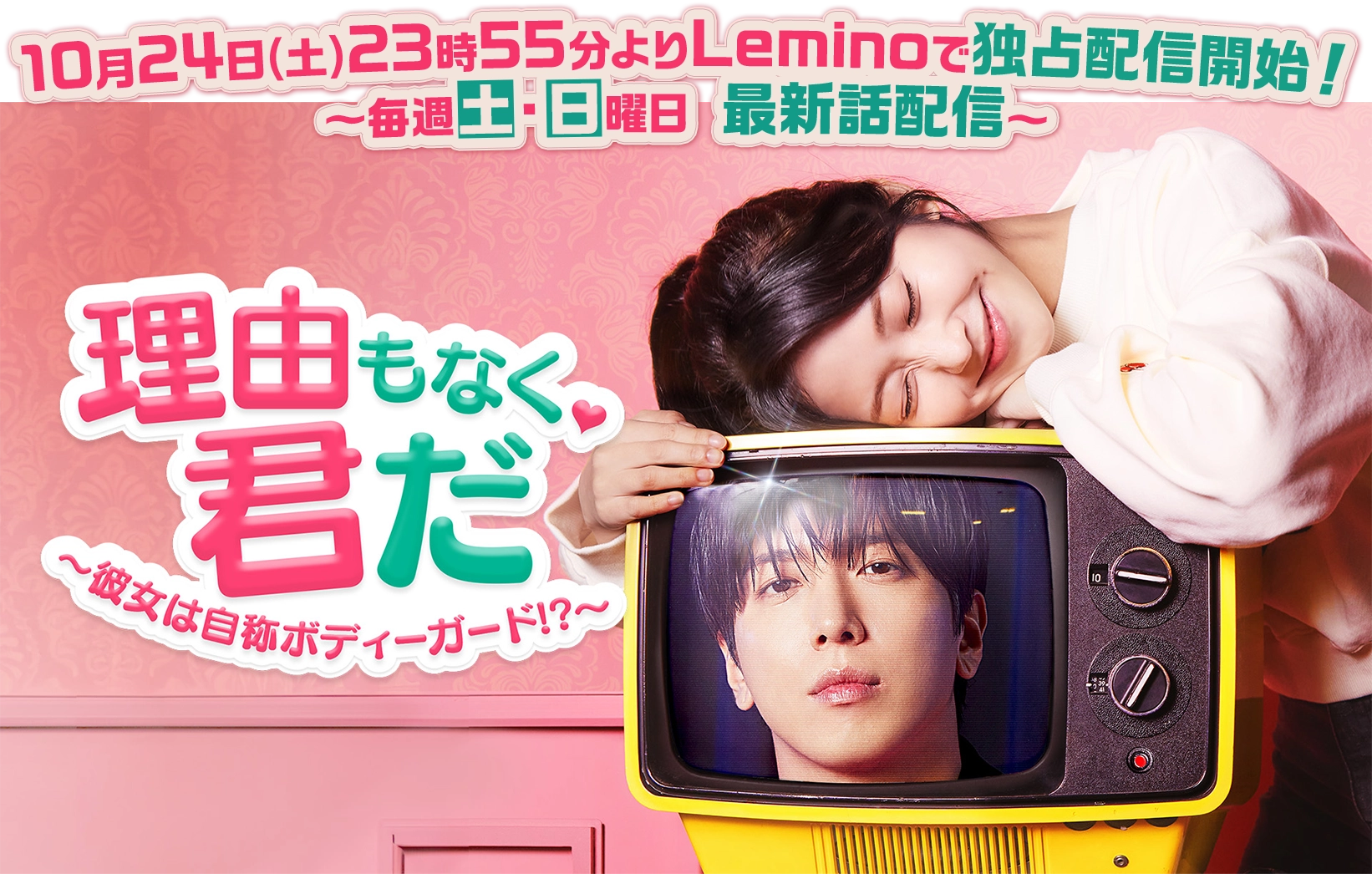 「理由もなく、君だ ～彼女は自称ボディーガード！？～」ファンタジーラブコメ韓国ドラマ｜Lemino公式 独占配信